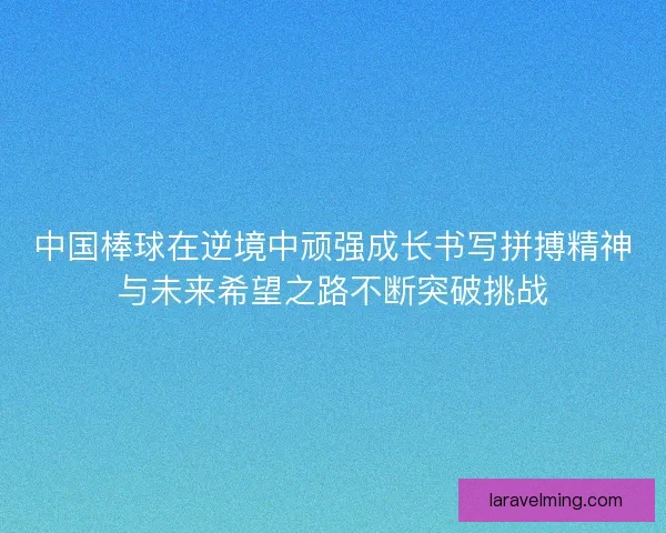 中国棒球在逆境中顽强成长书写拼搏精神与未来希望之路不断突破挑战