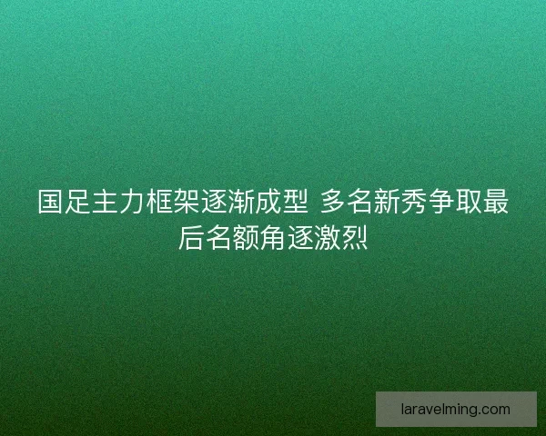 国足主力框架逐渐成型 多名新秀争取最后名额角逐激烈